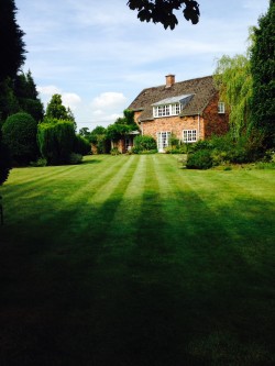 Lawn Mowing, Large Lawn, Holmes Chapel 1