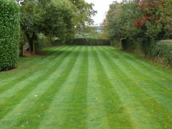 Lawn Mowing, Large Lawn 2