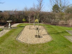 Garden Maintenance in Alderley Edge