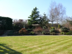 Mowed Lawn- Garden