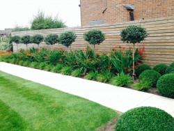 Landscaping - planting